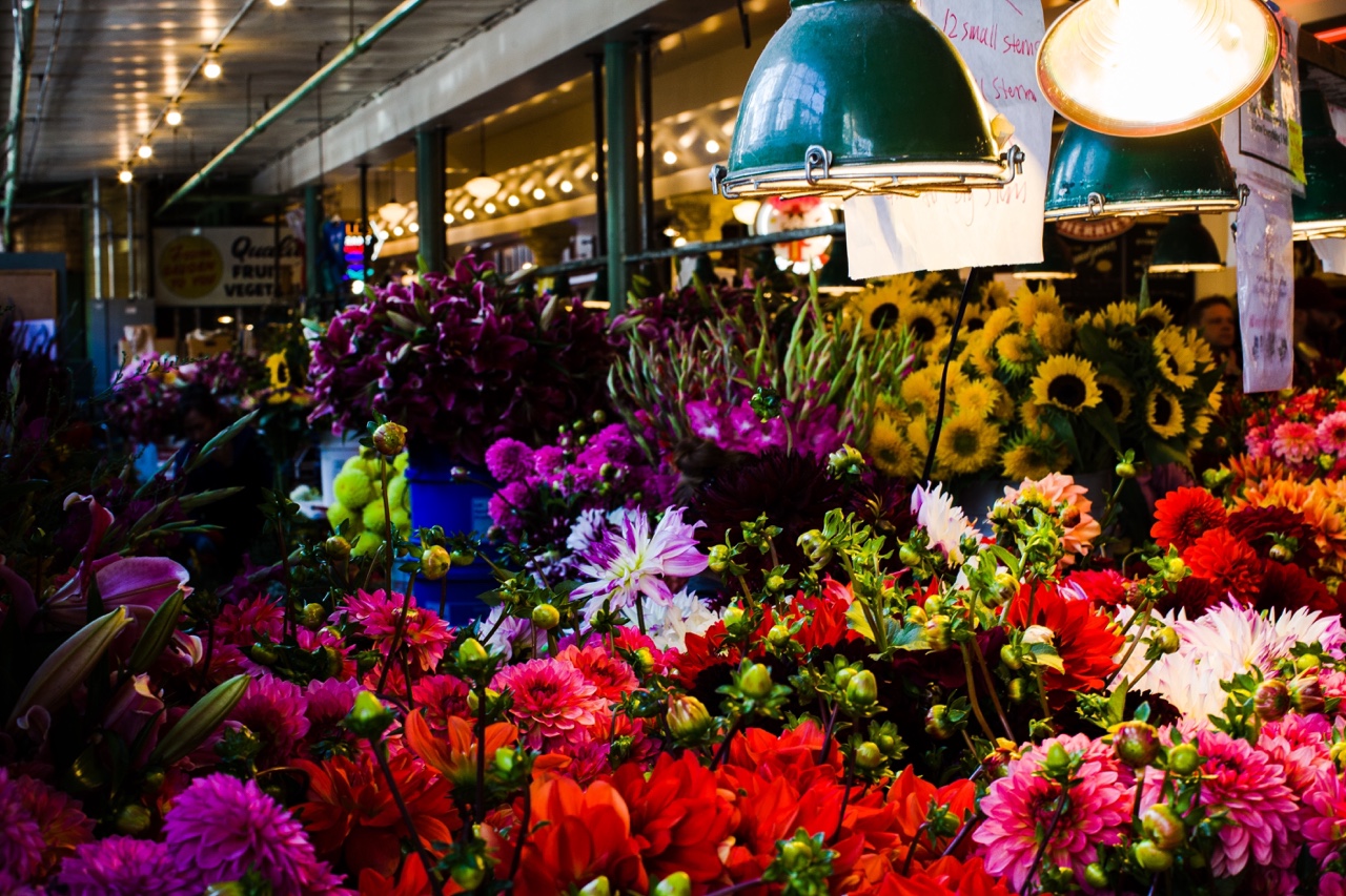 Seattle and around — photograph 5 of 5
