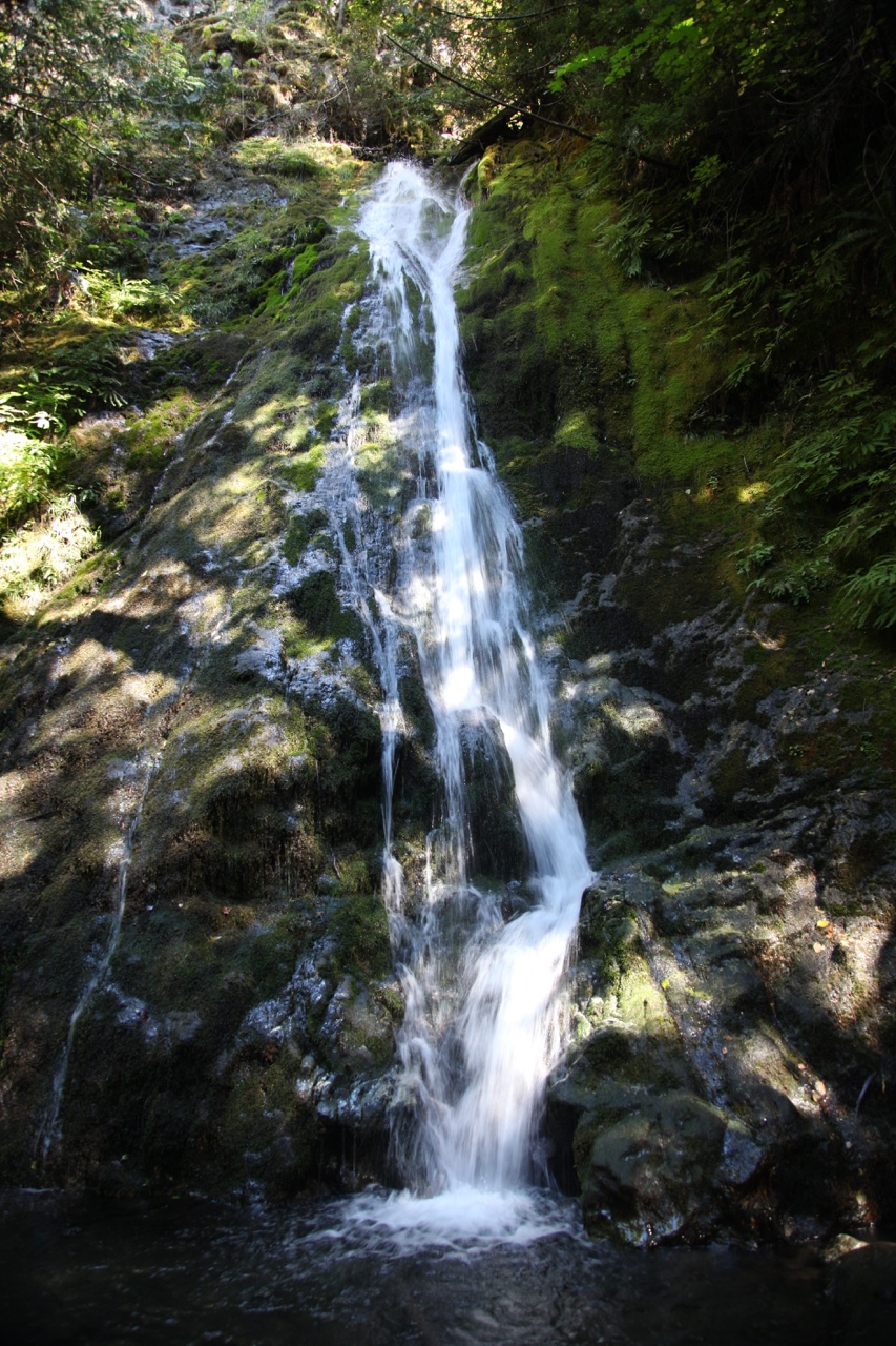 So as we leave my parents in Seattle for their… — photograph 3 of 4