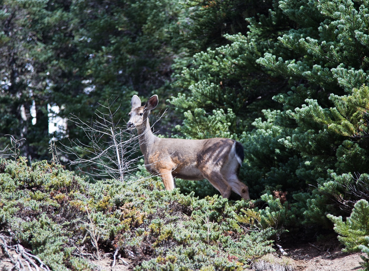 So as we leave my parents in Seattle for their… — photograph 4 of 4