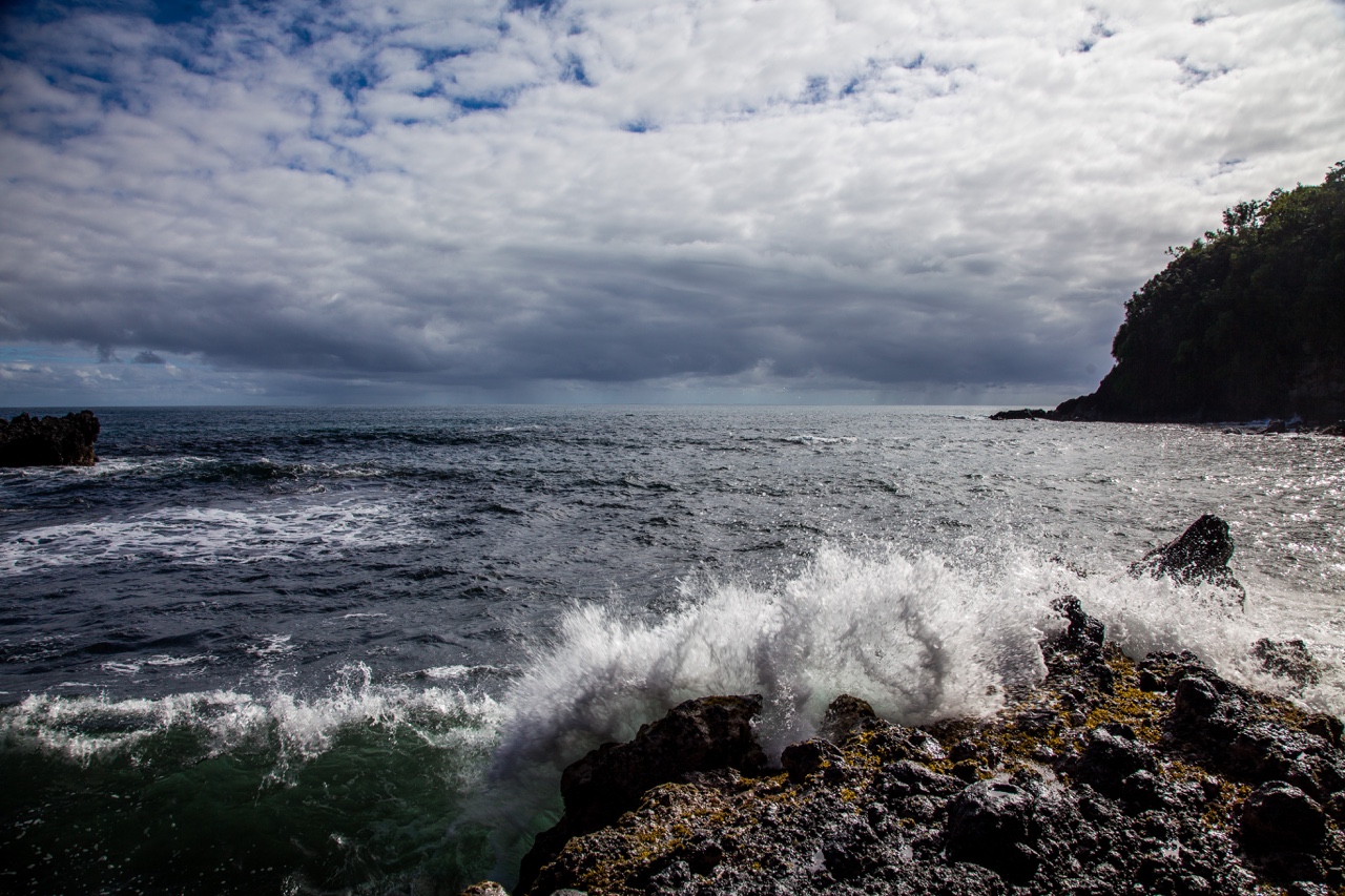 So, I guess I’ll pick up where Misty left off,… — photograph 3 of 6