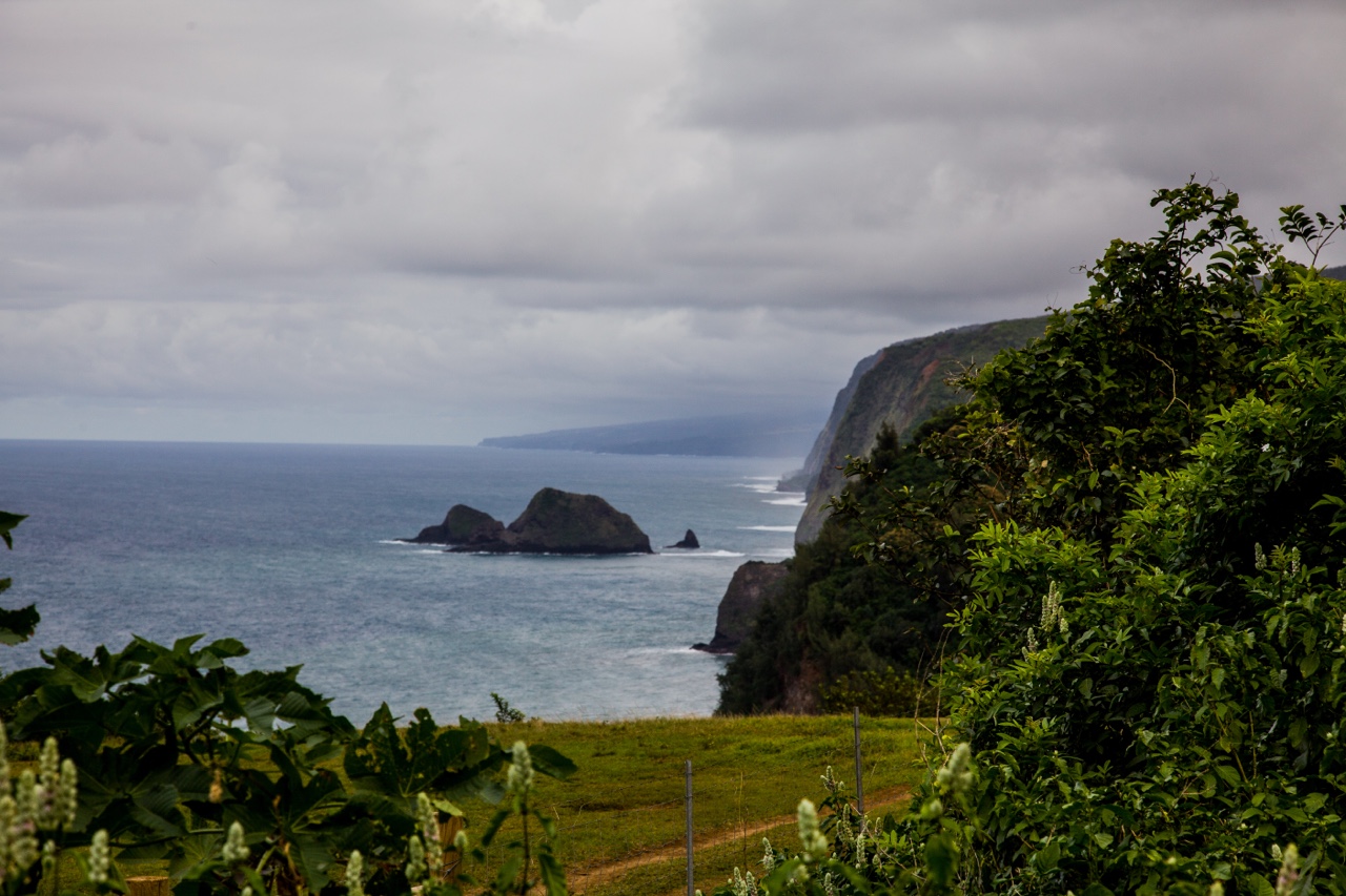 So, I guess I’ll pick up where Misty left off,… — photograph 5 of 6