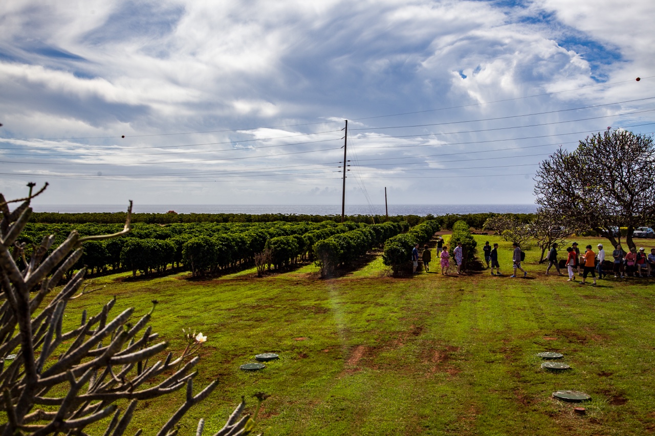 Friends, Hawaii & the Long Way Around — photograph 3 of 10
