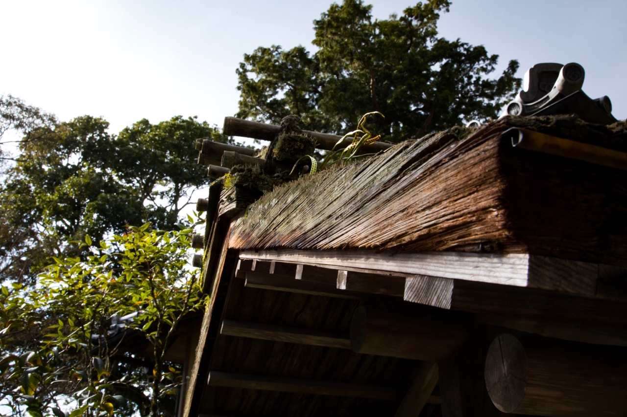 In and around Kyoto — photograph 2 of 6