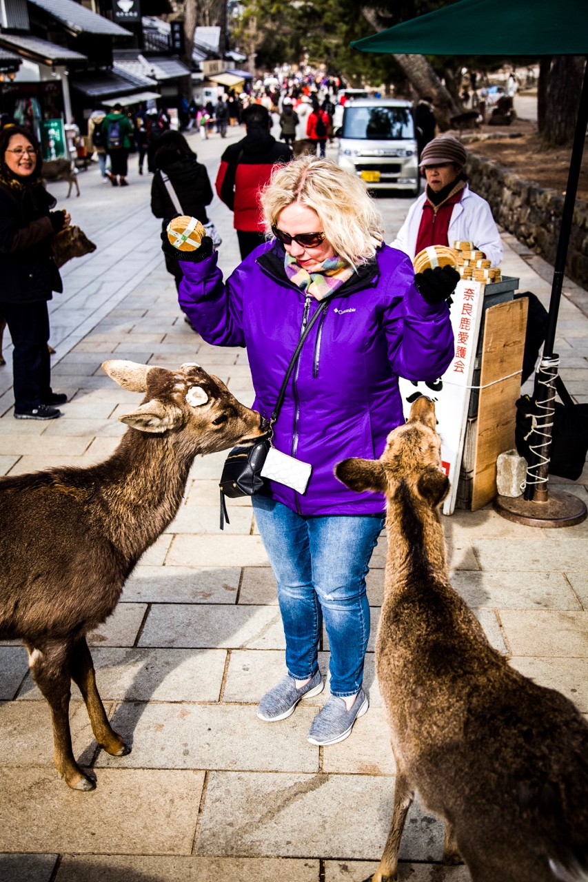 Kyoto, Nara, and Osaka Oh My — photograph 4 of 8