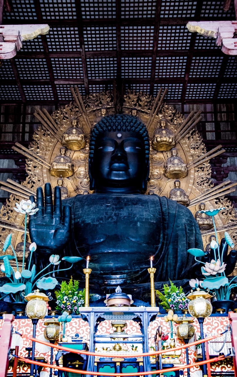 Kyoto, Nara, and Osaka Oh My — photograph 5 of 8