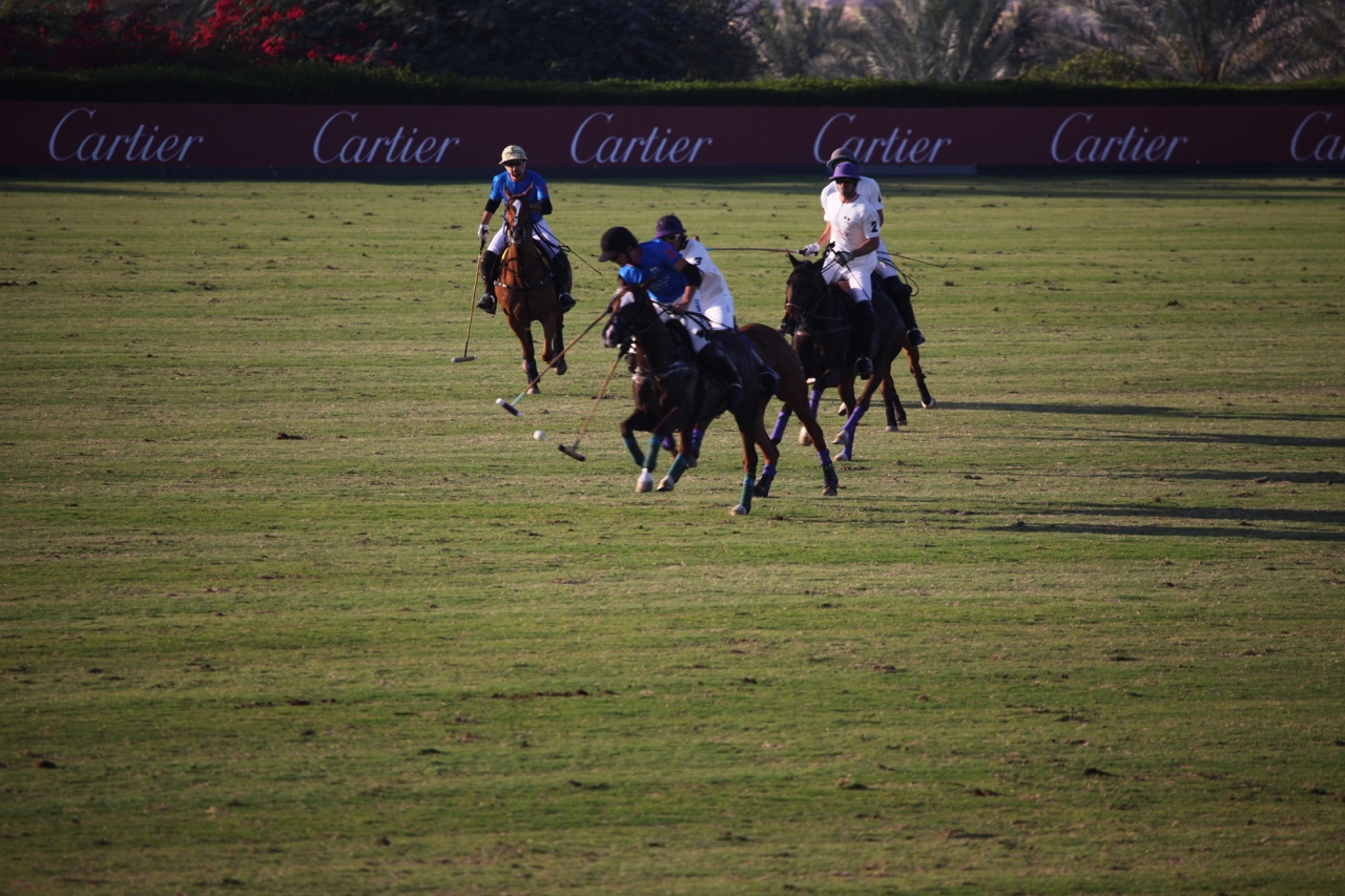 It’s winter and it’s hot here…Dubai travels In preparation for… — photograph 5 of 5