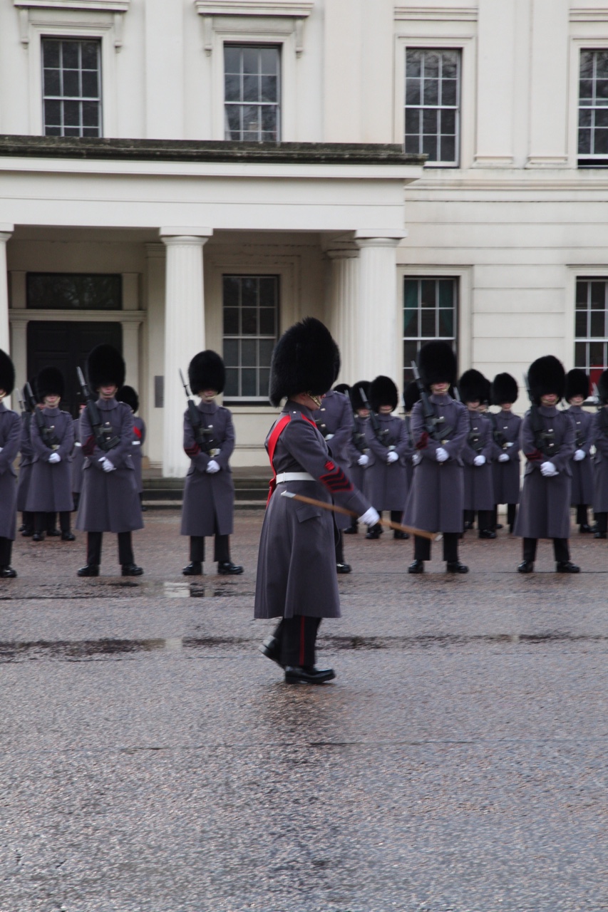 Buckingham Palace….or Black Friday Shopping…… As you all know, we… — photograph 3 of 7
