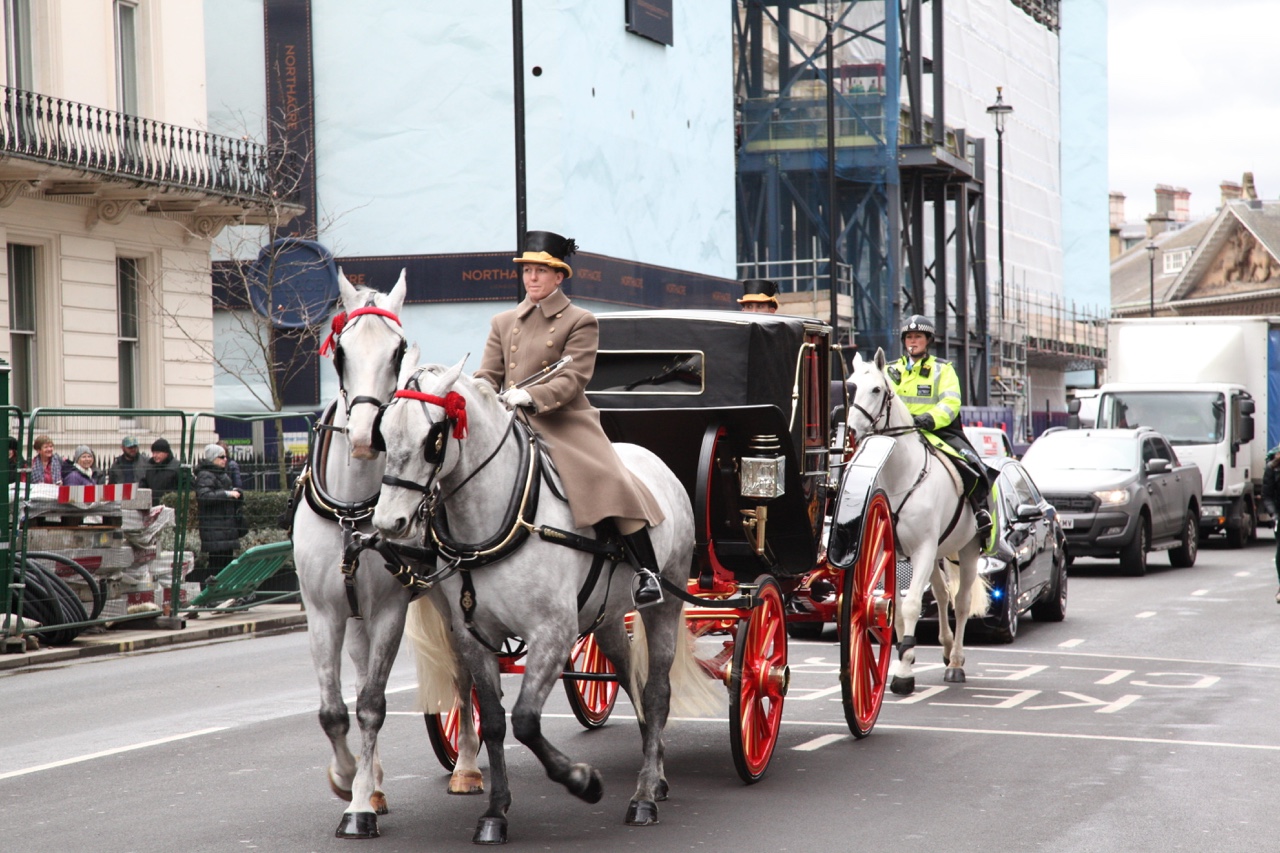 Buckingham Palace….or Black Friday Shopping…… As you all know, we… — photograph 7 of 7