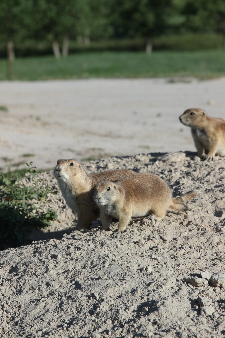 Our trip started a bit late on Friday morning — photograph 4 of 5