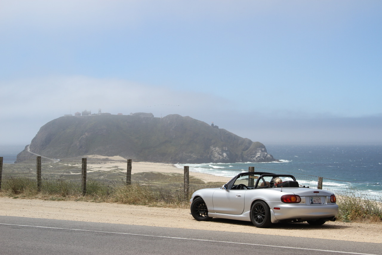 Just a few pics from the last two days — photograph 4 of 7