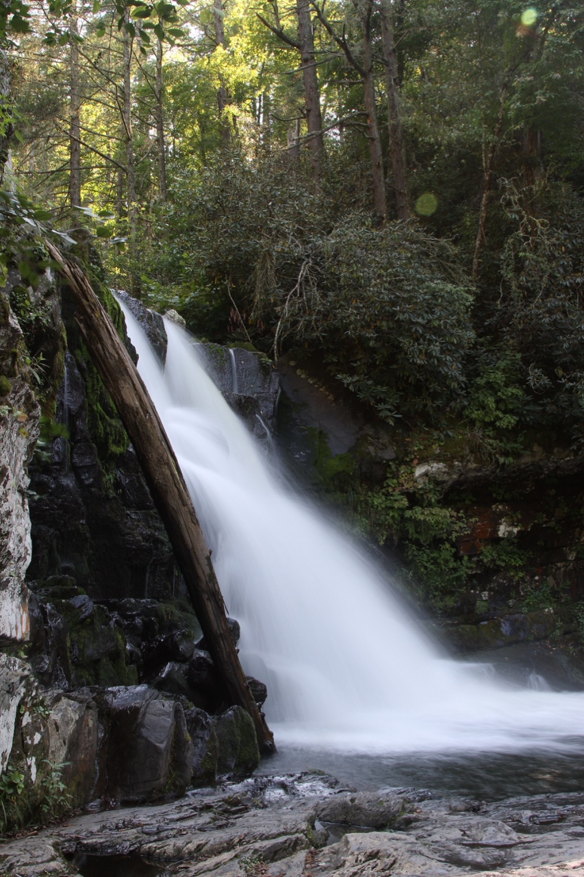 Great Smoky Mountains National Park — photograph 6 of 6
