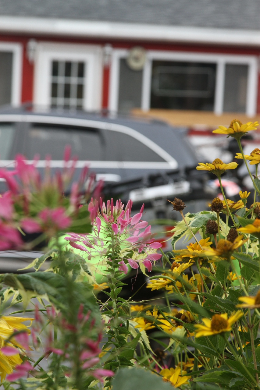 ATLANTIC CITY, Boston, NYC, Acadia — photograph 9 of 9